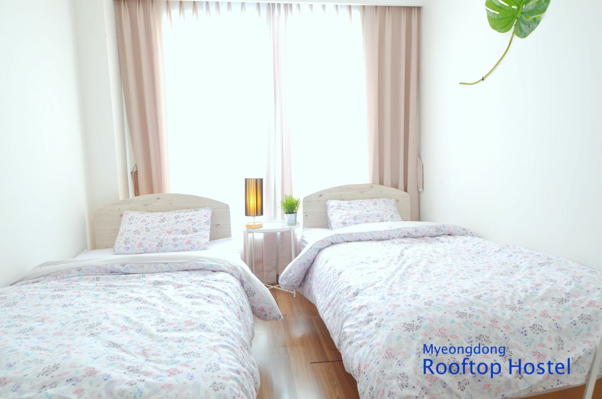 Myeongdong Rooftop Hostel Seoul Exteriör bild