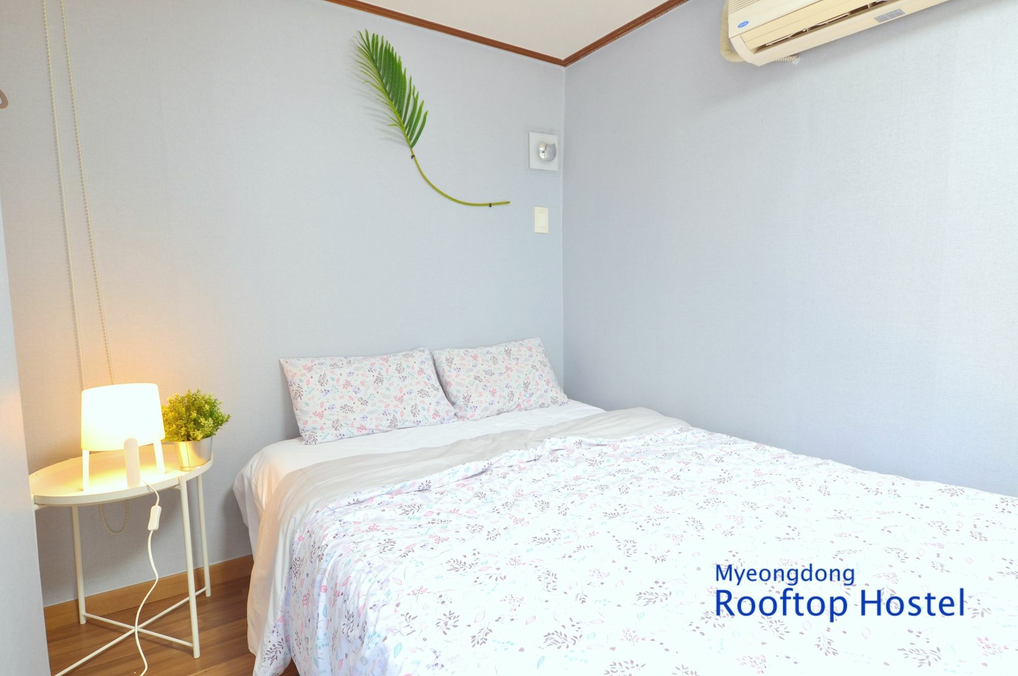 Myeongdong Rooftop Hostel Seoul Exteriör bild