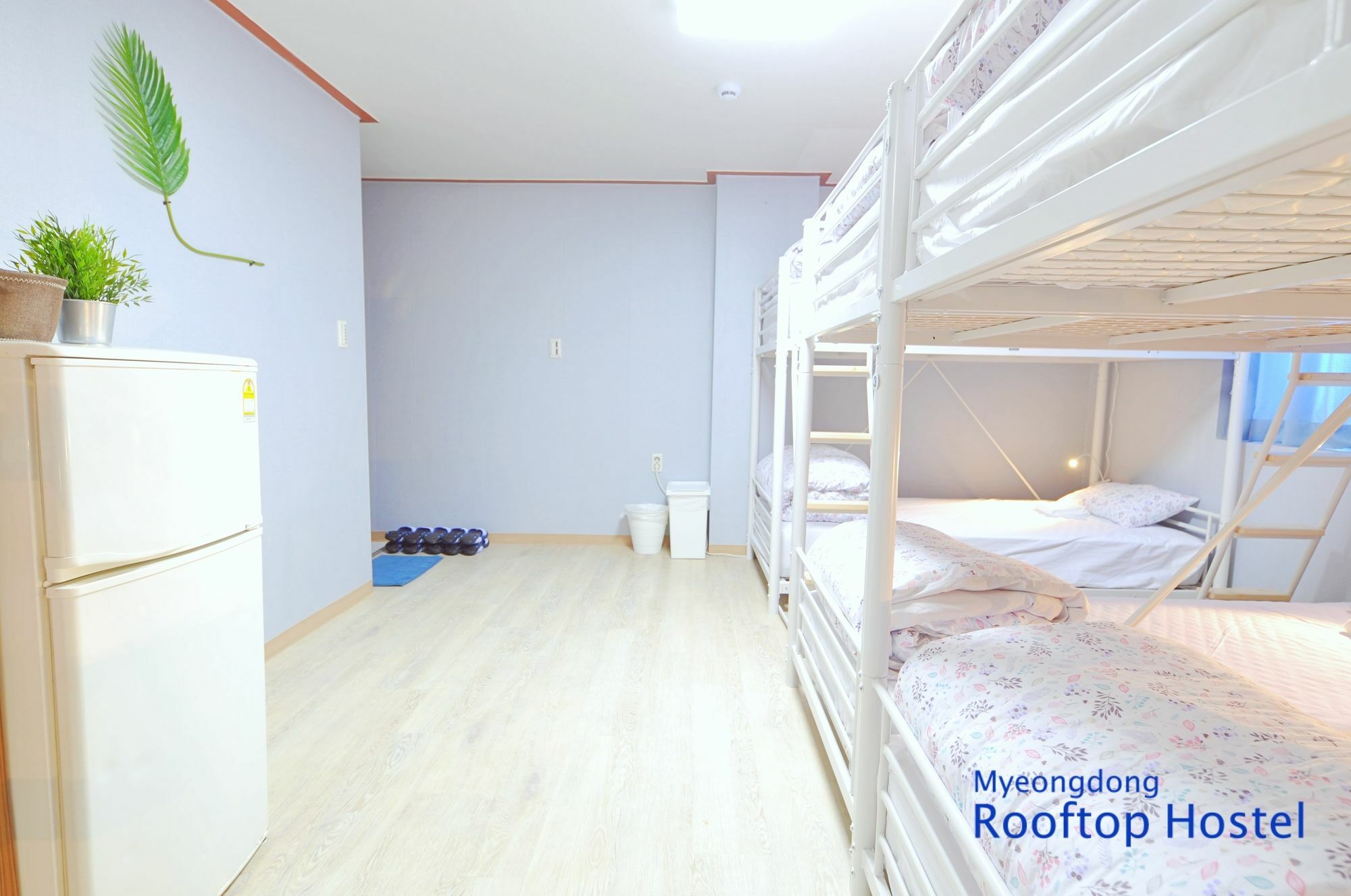 Myeongdong Rooftop Hostel Seoul Exteriör bild